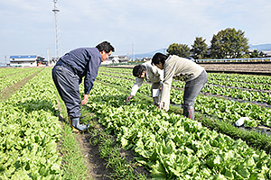 営農指導の様子