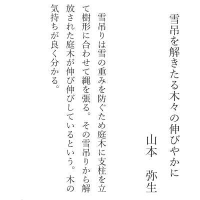雪吊を解きたる木々の伸びやかに　　山本　弥生
