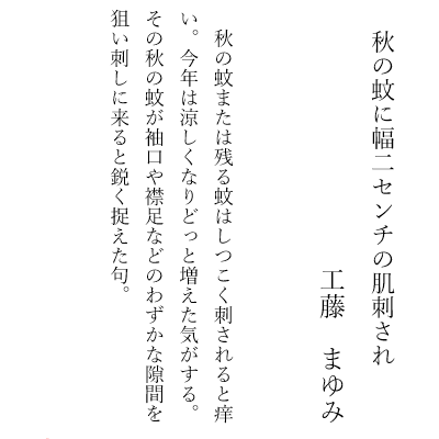 秋の蚊に幅二センチの肌刺され 工藤 まゆみ