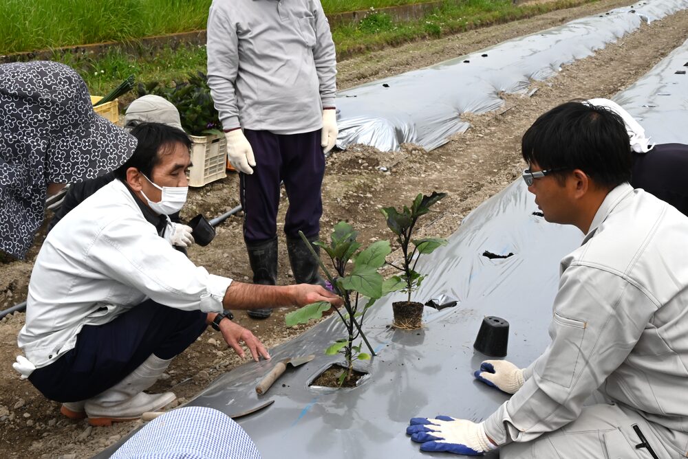 新規就農研修の様子