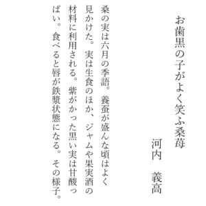 （2026年4月11日〜5月10日に受付けた俳句の中から選ばれました）