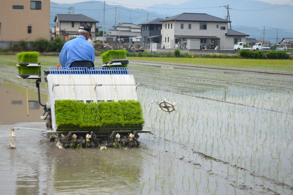「にじのきらめき」本格導入！農家の所得向上へ