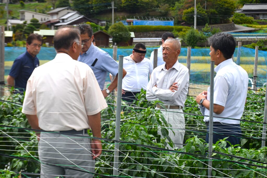 販売中間検討会を実施！産地と市場が意見交換